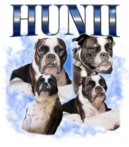3150299002 KN041220231840 Hunii.png