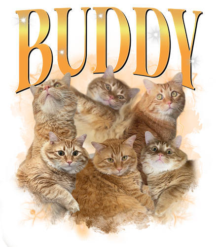 3138730838.png