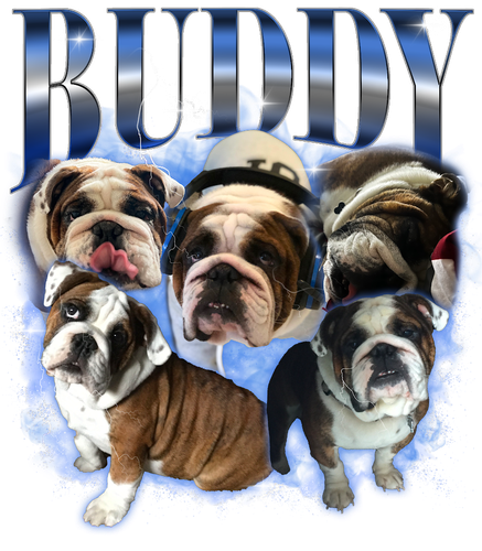 KN041220231840 Buddy.png