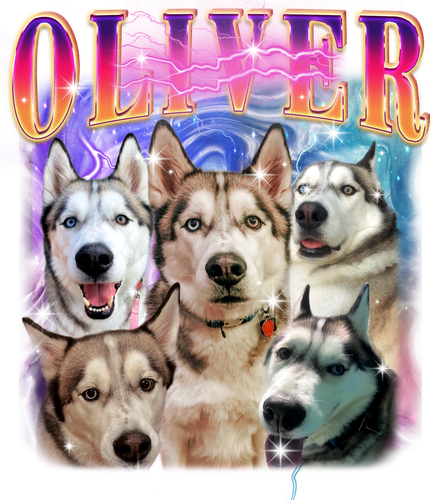 3149020634.png