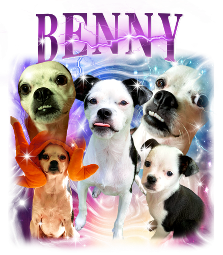 3140354213 benny 0 f1.png