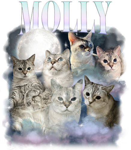 MOLLY 3148254446.png