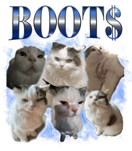 3142858903 KN041220231840 BOOT$.png