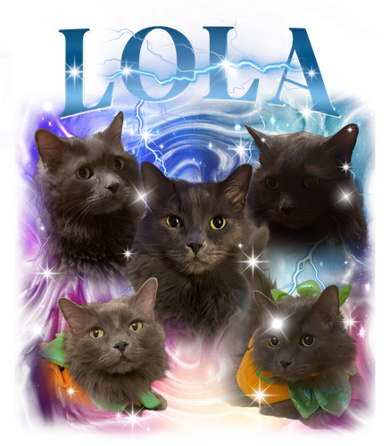 Lola.png