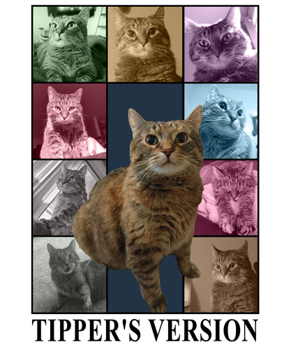 3149247454.png
