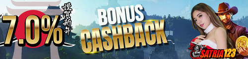 05 bonus cashback 7.jpg
