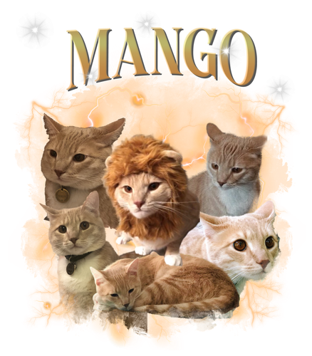 MANGO.png