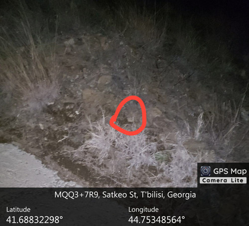 IMG 20231218 202603 077.jpg