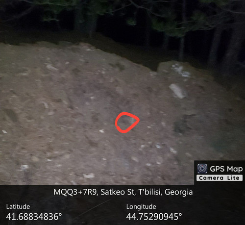 IMG 20231218 202552 483.jpg