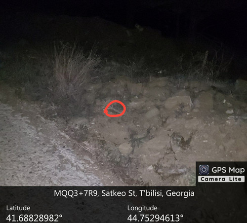 IMG 20231218 202556 009.jpg