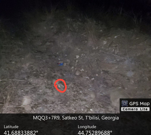 IMG 20231218 202554 315.jpg