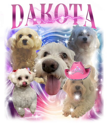 Dakota.png