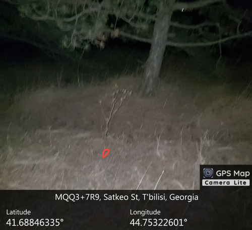 IMG 20231218 202539 468.jpg