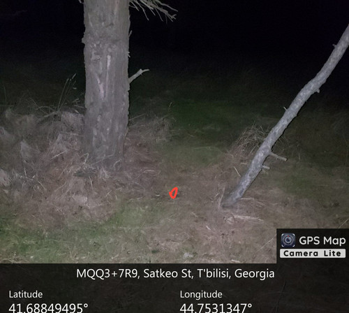 IMG 20231218 202541 758.jpg