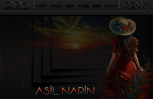 ASİL NARİN 1.jpg