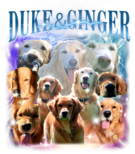 DUKE&GINGER.png