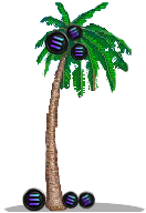 palmera.png