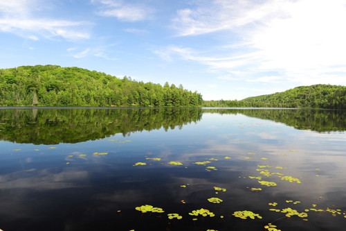 Trout Lake.jpg