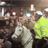 pepper spray.gif