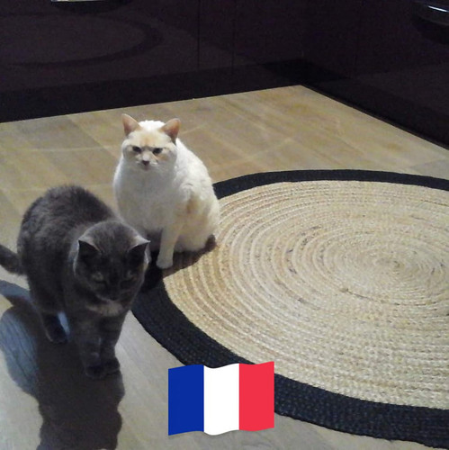 355863365 827167832268233 2302558402592119997 n.jpg? nc cat=104&ccb=1 7& nc sid=9e7101& nc ohc=dLMBK.jpg