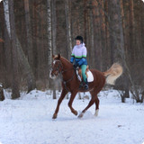 training 8