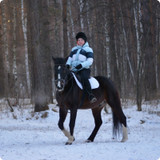 training 7