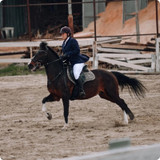 training 5