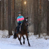 training 9