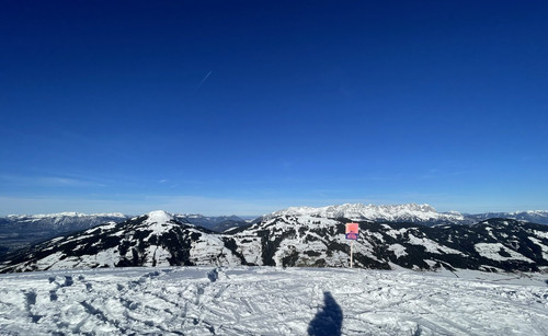 C46BA09E-E309-401E-9EF3-48F7067DFB22.jpg