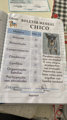 JAO8Qjf.md.png