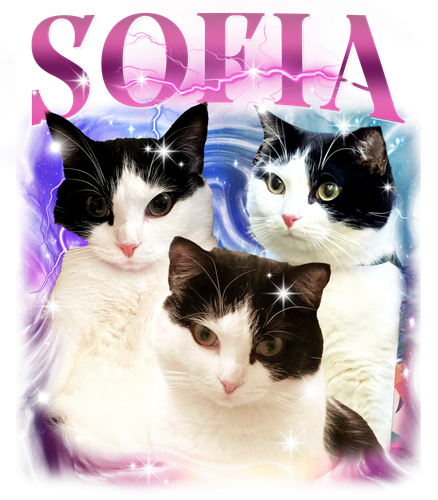 SOFIA.png
