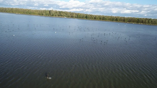 screen c25e80a93ab2d6d5 1700055255127.jpg