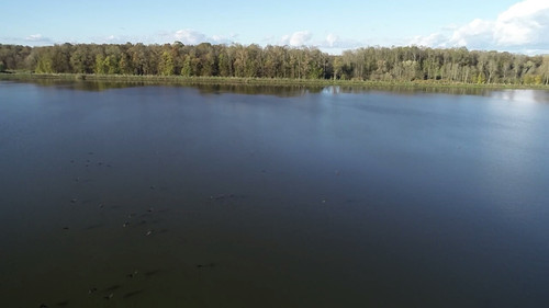 screen 168fd9338c00f036 1700055402425.jpg