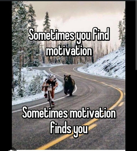 1703253209 1699365148.jpg