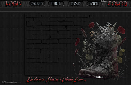 Canan Bayan Radyo Teması Birilerinin.jpg