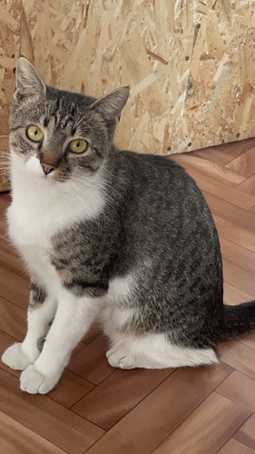 0DD20078 5F02 43A3 B998 92489287DDA0.jpg