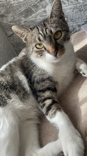 0EB2B2DC 4CB3 40DD BF05 2CF7517C876D.jpg