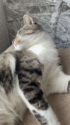 F6FE60E6 07AC 4ECB 92AD 36D27AC4BA24.jpg