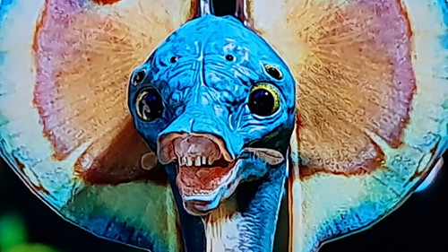 IMG 20231217 WA0001.jpg