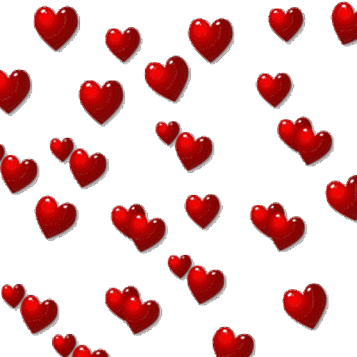 c49a692a5a5710756ec912fff3623b9f.gif