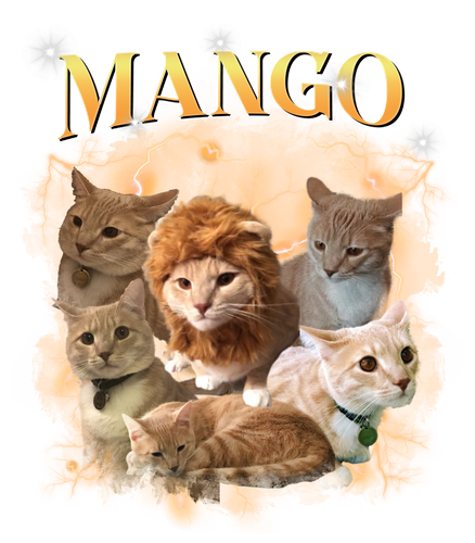 MANGO.png