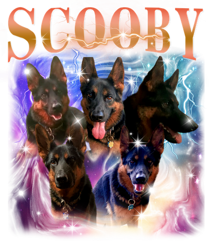 Scooby.png