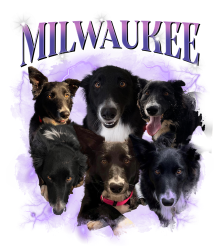milwaukee.png
