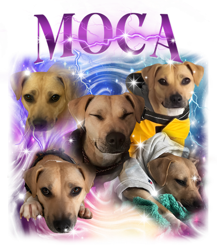 moca.png