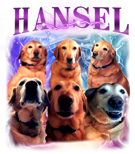 hansel.png