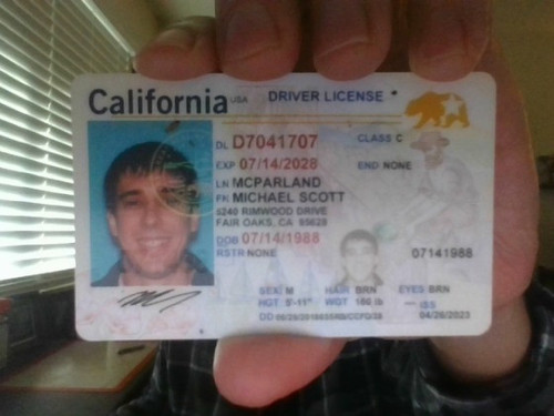 identity card (1).jpg