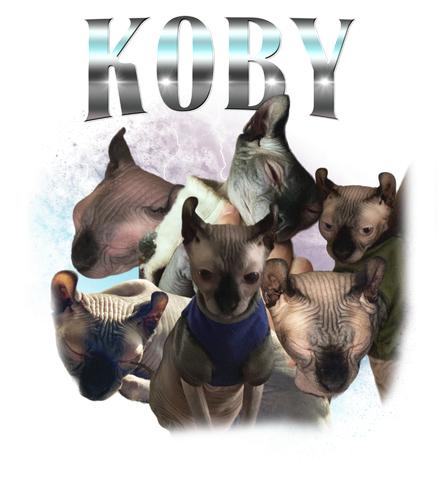 Koby.png
