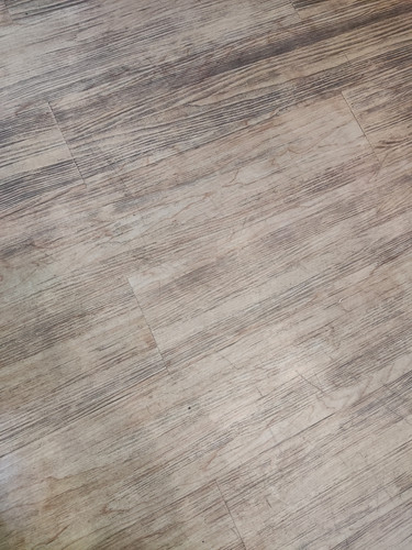 d9e884cb0814.jpg