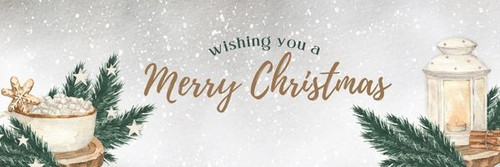 Green And Blue Simple Photo Merry Christmas Email Header.jpg