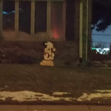 inbound3893614690438566250